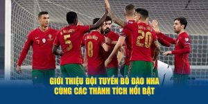 Giới Thiệu Đội Tuyển Bồ Đào Nha Cùng Các Thành Tích Nổi Bật