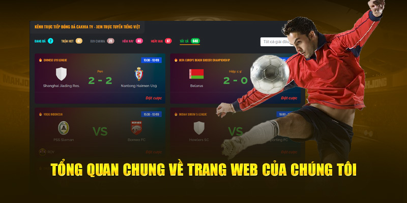 Tổng quan chung về trang web của chúng tôi