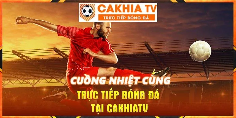 Cakhiatv8.online cung cấp dịch vụ bóng đá đỉnh cao