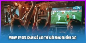 Mitom TV Đưa Khán Giả Vào Thế giới Bóng Đá Đỉnh Cao